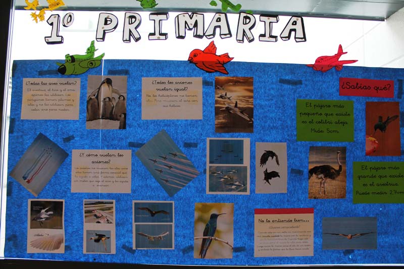 Semana Ciencias en Los Tilos